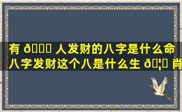 有 🐛 人发财的八字是什么命（八字发财这个八是什么生 🦆 肖）